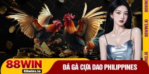Đá Gà Cựa Dao Philippines