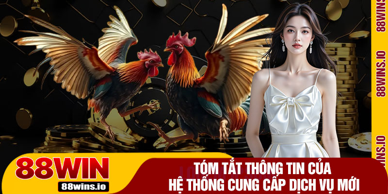 Tóm Tắt Thông Tin Của Hệ Thống Cung Cấp Dịch Vụ Mới