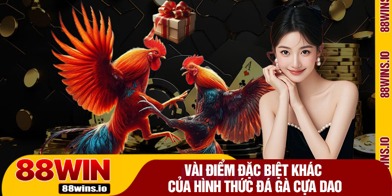 Vài Điểm Đặc Biệt Khác Của Hình Thức Đá Gà Cựa Dao